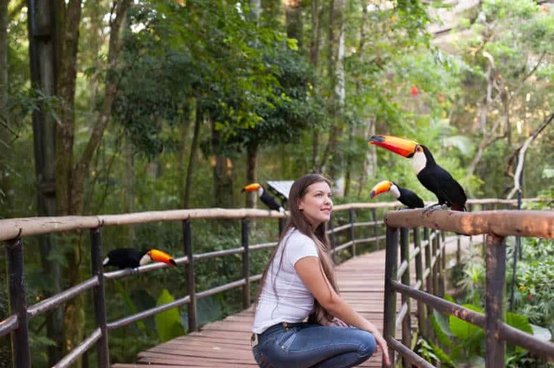 Parque das Aves em Foz do Iguaçu (Foto: Divulgação / Parque das Aves)